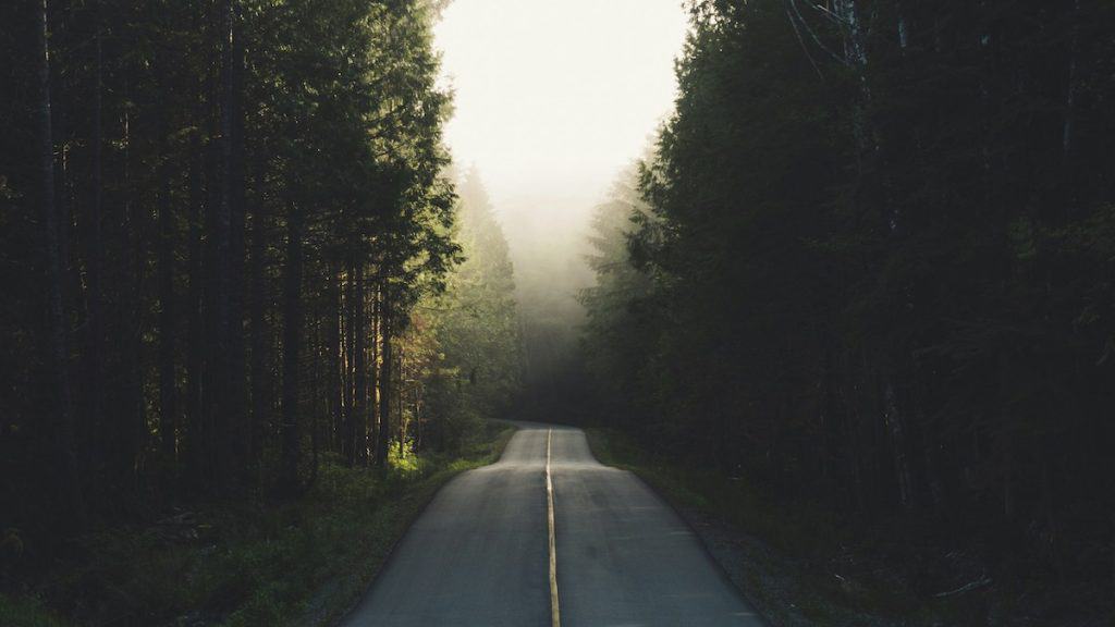 A secluded road leads through a dense forest, with towering trees on either side. Sunlight filters through the foliage, creating a mystical and inviting atmosphere that beckons travelers forward into the tranquil embrace of nature.