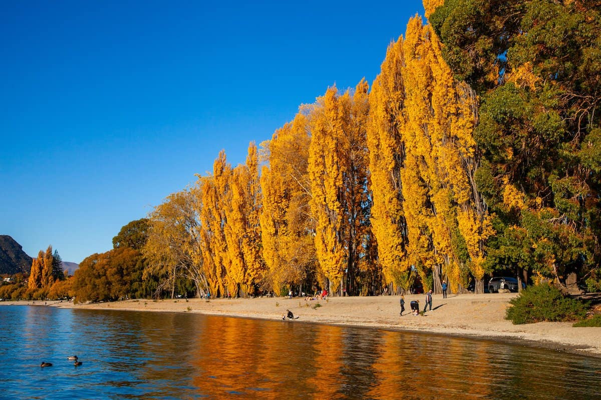 10 Things To Do In Autumn In Queenstown